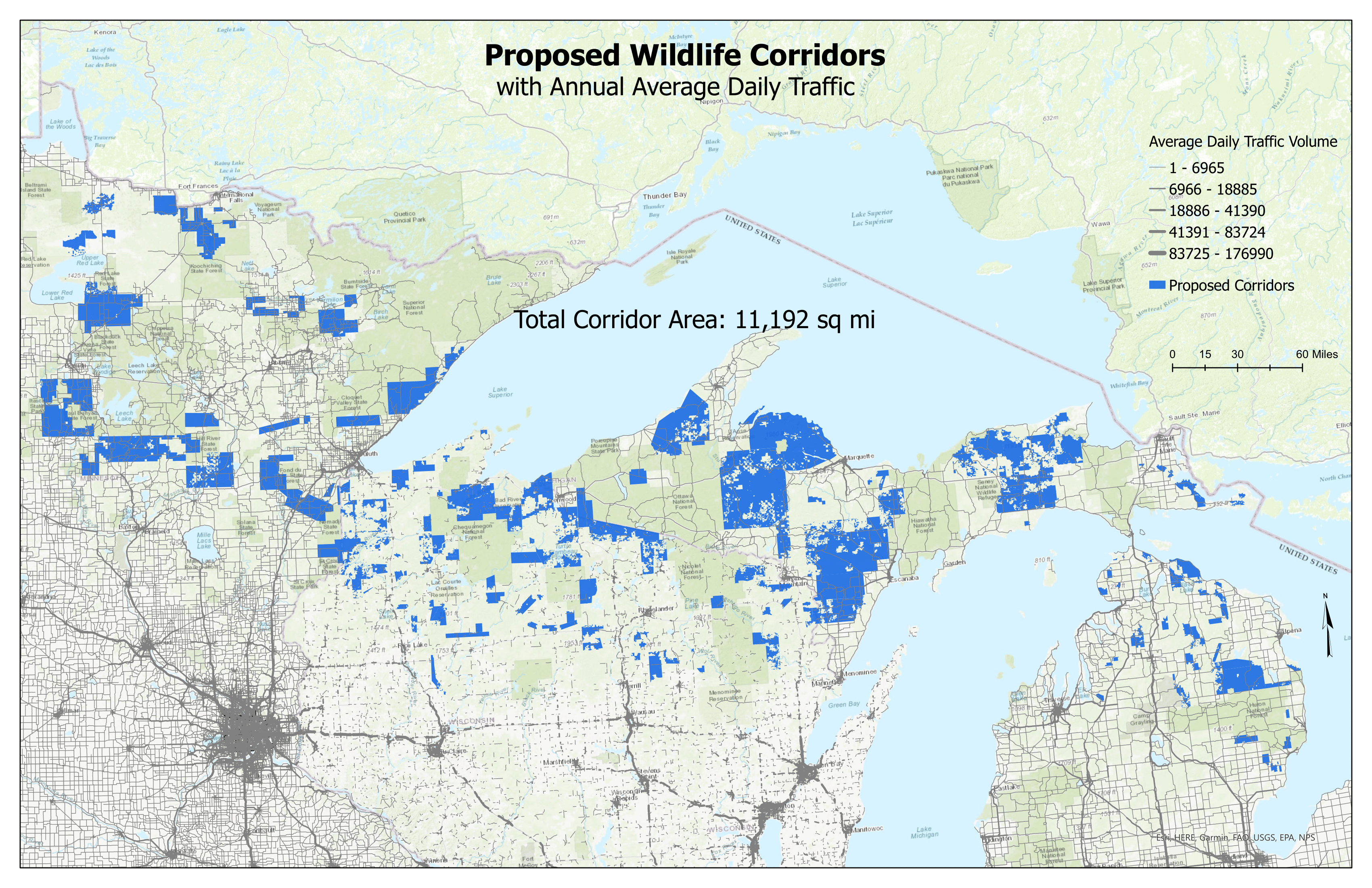 Wildlife corridors and traffic